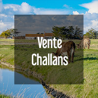 Vente ou location immobilère sur Challans